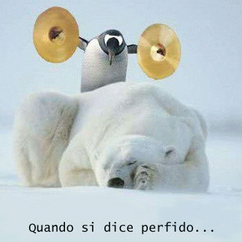 http://image.forumfree.it/1/2/6/6/8/3/2/1211616579.gif