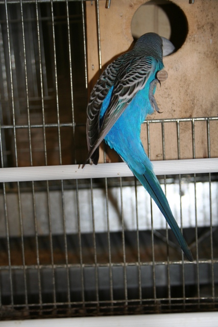 1200926788.jpg