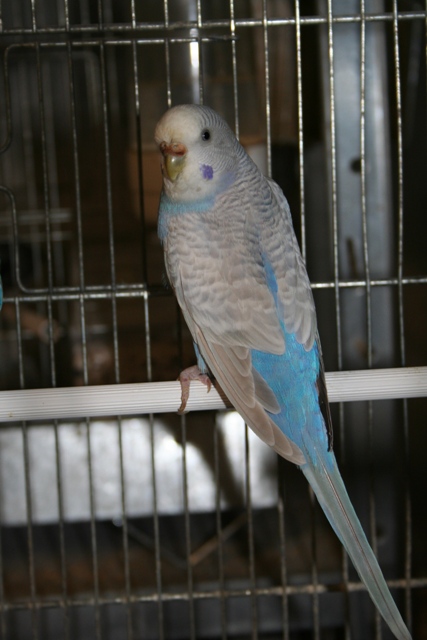 1200926840.jpg