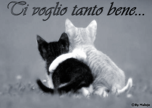 cerco ragazze per amicizia