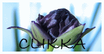 Image Hosted by ImageShack.us