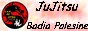JuJitsu