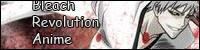 Bleach Revolution Anime