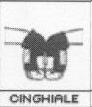 :cinghiale: