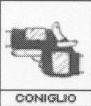 :coniglio: