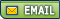 P_EMAIL