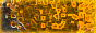 Multiplayer Community