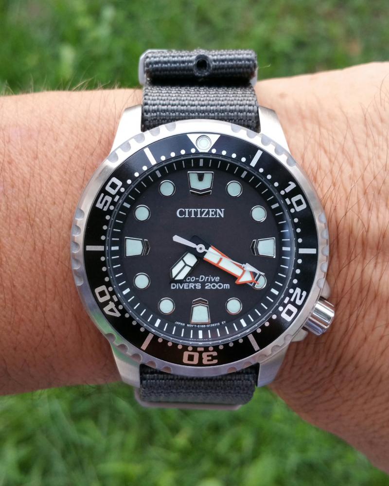 citizen promaster ny004