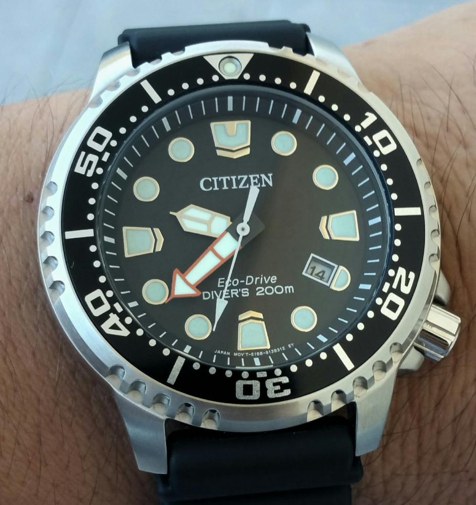 citizen promaster ny004