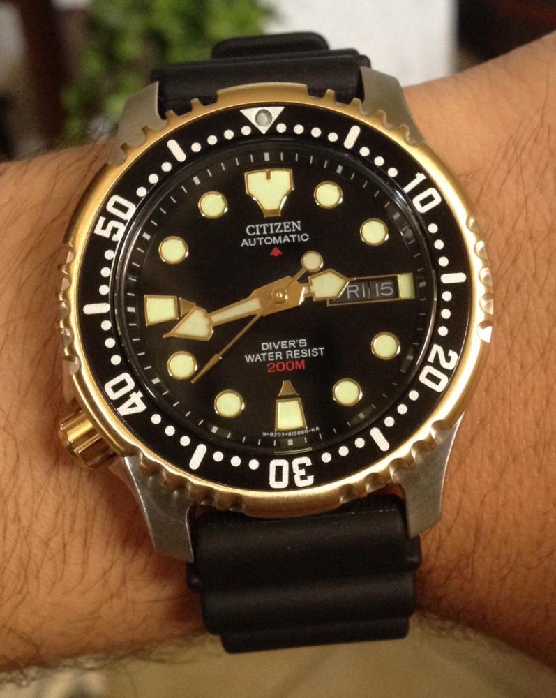 Citizen ny0045 new arrivals