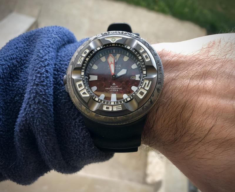 Citizen ecozilla acciaio on sale