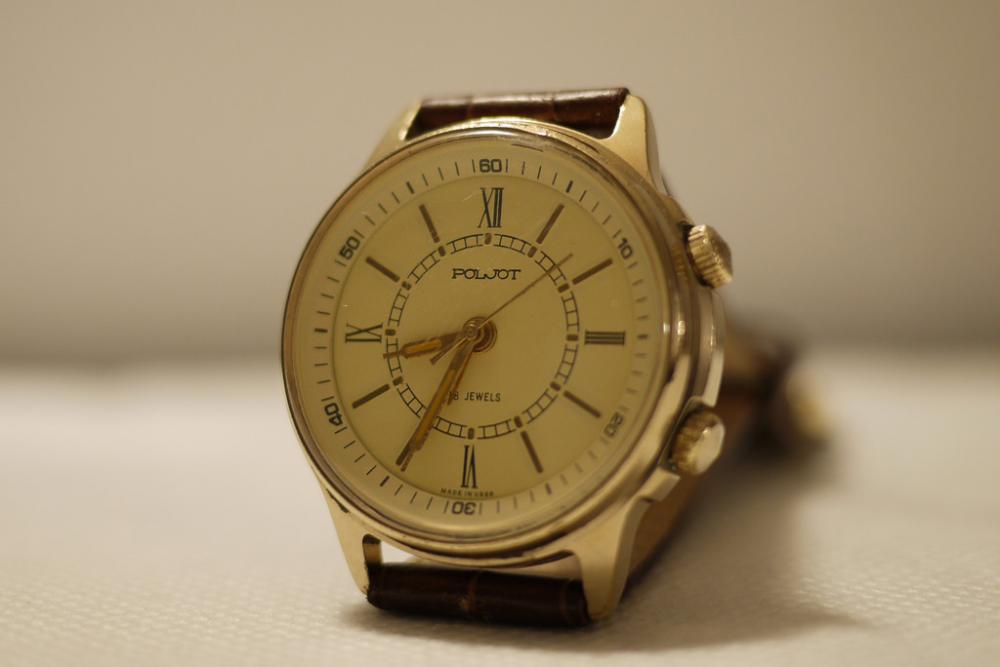 Svegliarino poljot on sale