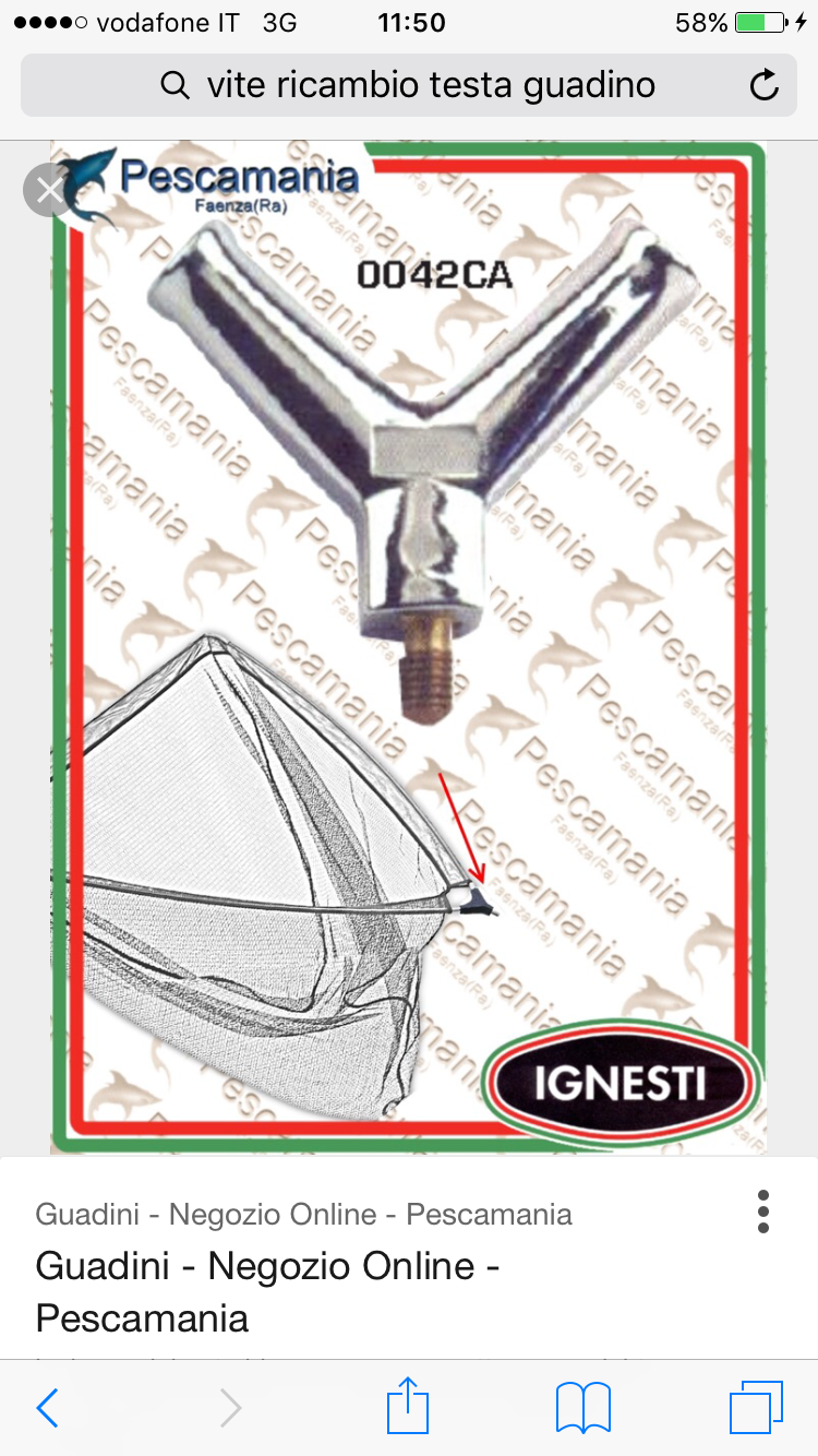 WUHEECOME 2 Pezzi Pinze Da Pesca Curva In Acciaio Inox Pinze Di Pesca - Foto 8