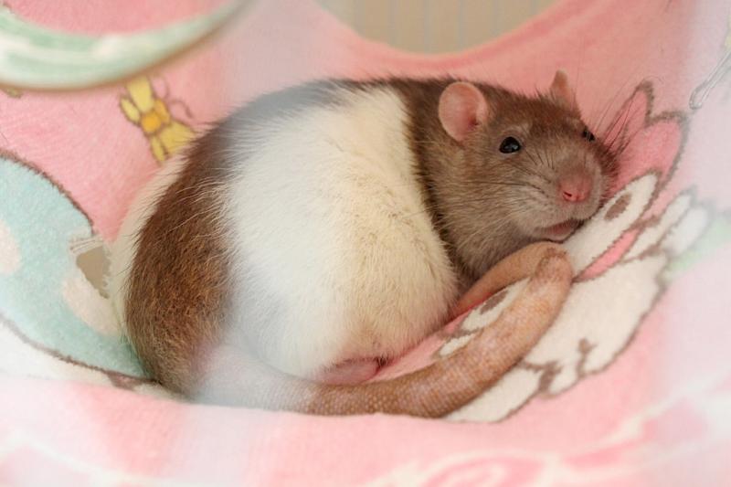 9258757558_c48b198a66_b