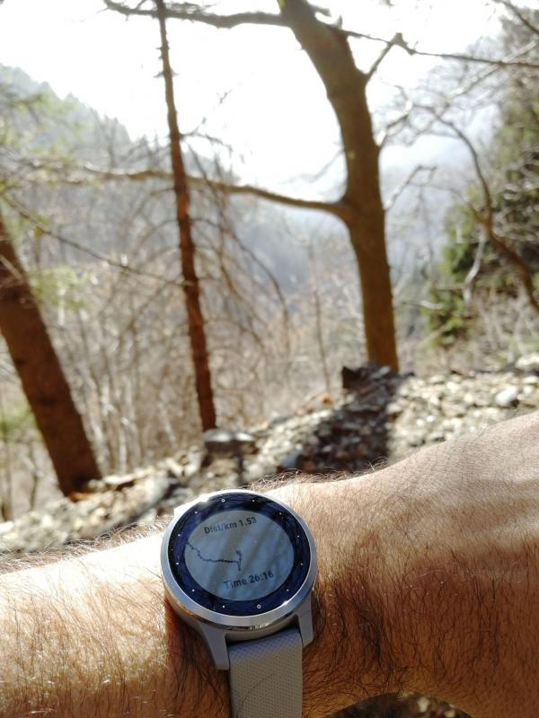 Garmin vivoactive 4 on sale usato