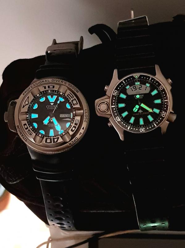 citizen promaster aqualand 2019