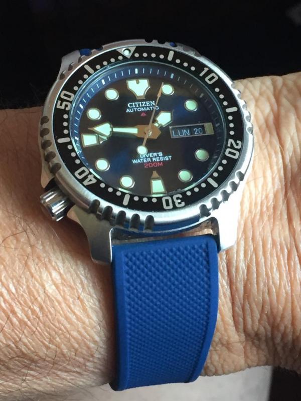 citizen promaster ny004