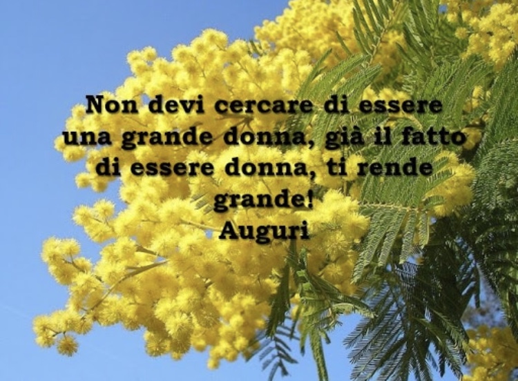 3E96A7BC-FB77-4E03-B314-D0F508273B85