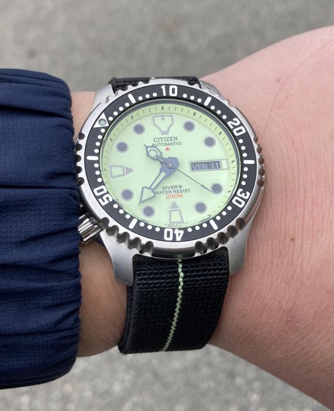 citizen promaster ny004