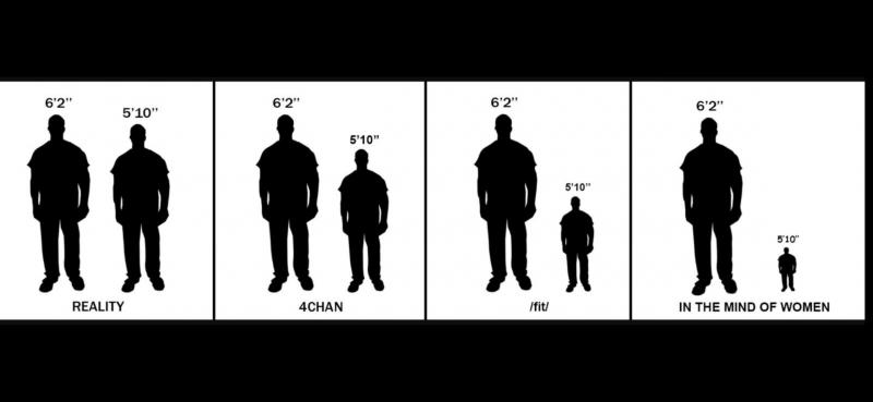 Screenshot_20200811-131230_WhatsApp