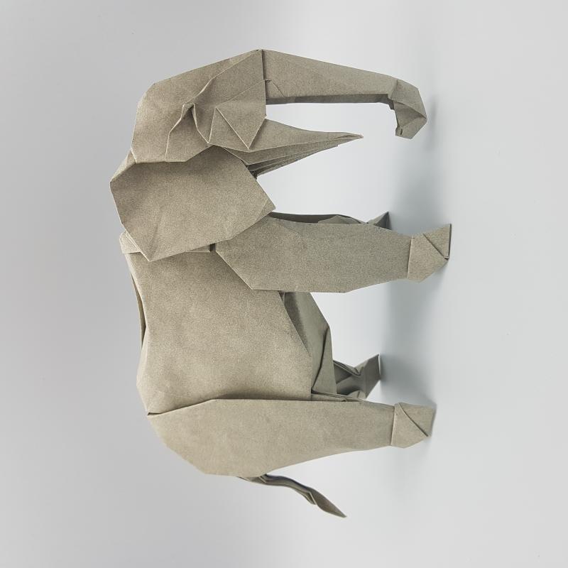 20210727_214636_010_01