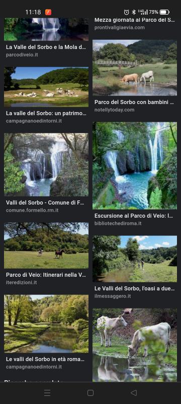 Screenshot_2022-04-07-11-18-55-32_40deb401b9ffe8e1