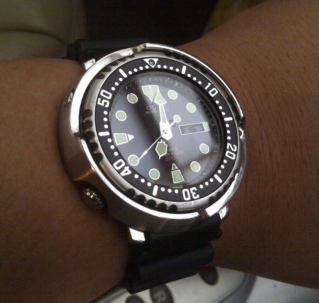Citizen Promaster NY0040 il Diver pagina 376