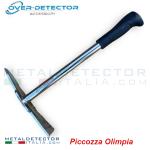 piccozza_olimpia_over_detector