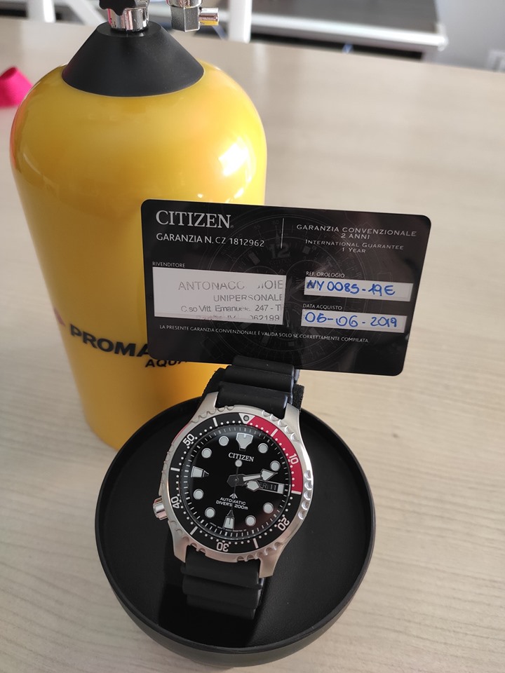 citizen promaster ny004