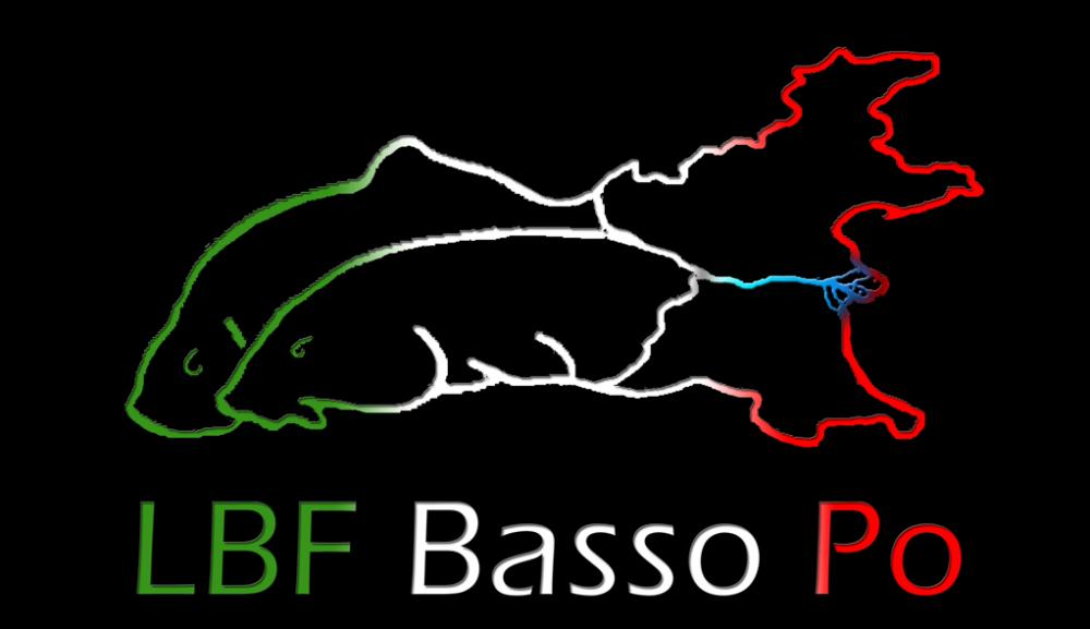 LBF_bassopo2