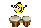 tamburi