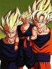 Vegeta,Goku e Gohan071
