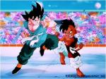 Goku vs ub