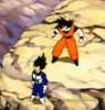 Vegeta e Goku (4)