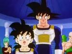 Goku e Gohan30