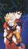 Gohan e Goku129
