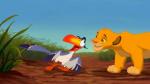 simba e zazu  3